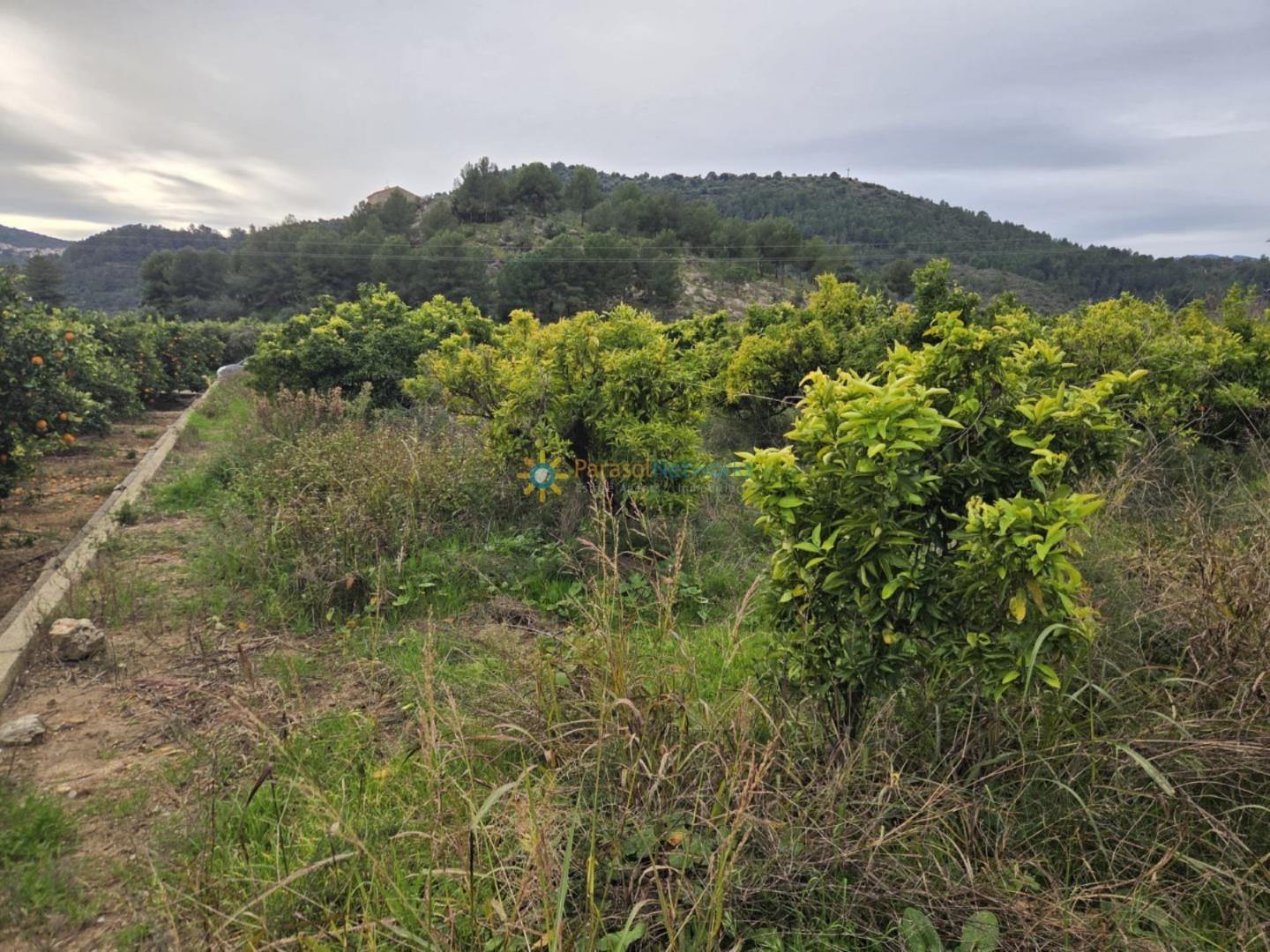Plot for Sale in Alquería de la Condesa