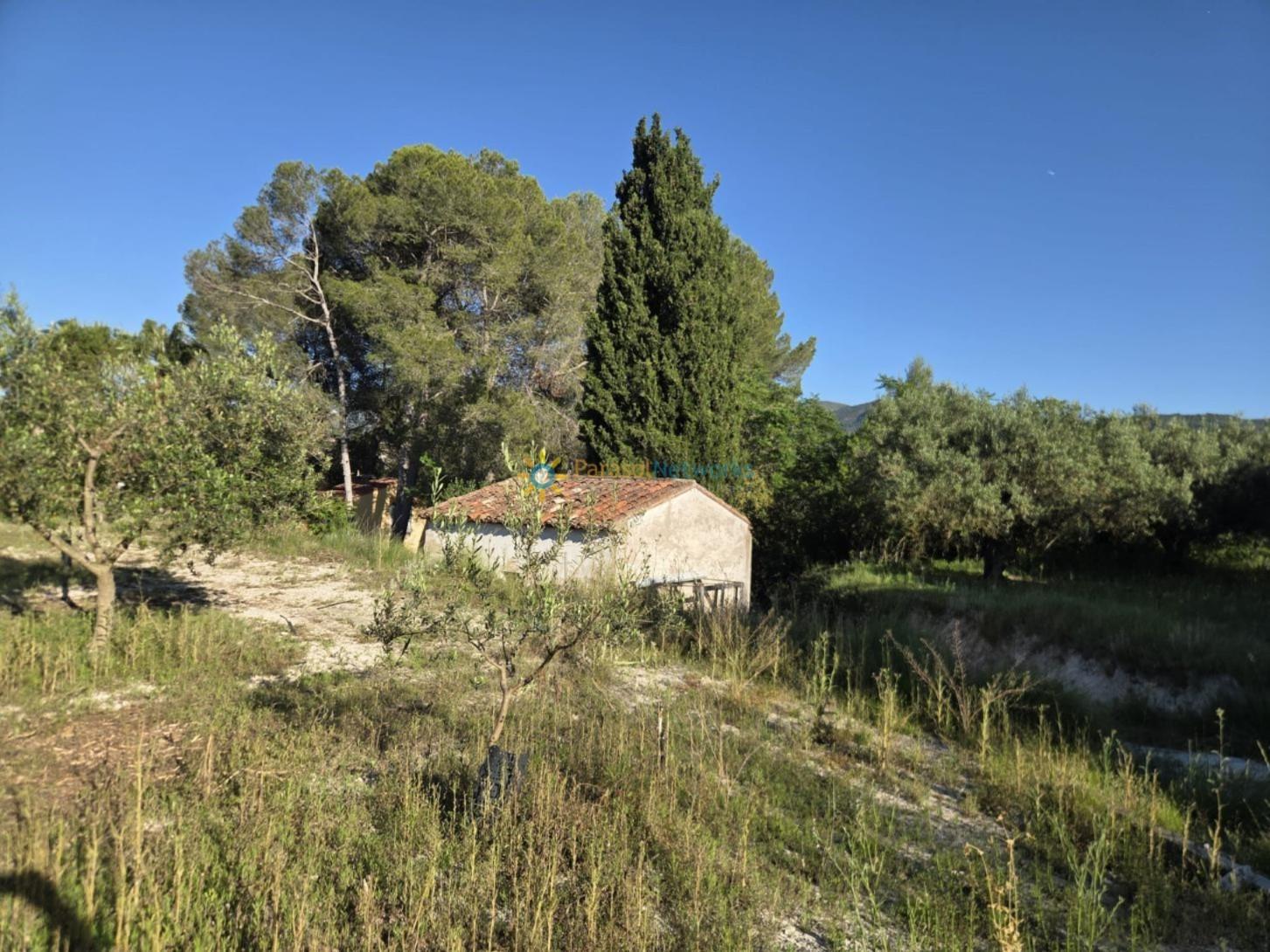 Plot for Sale in Bèlgida
