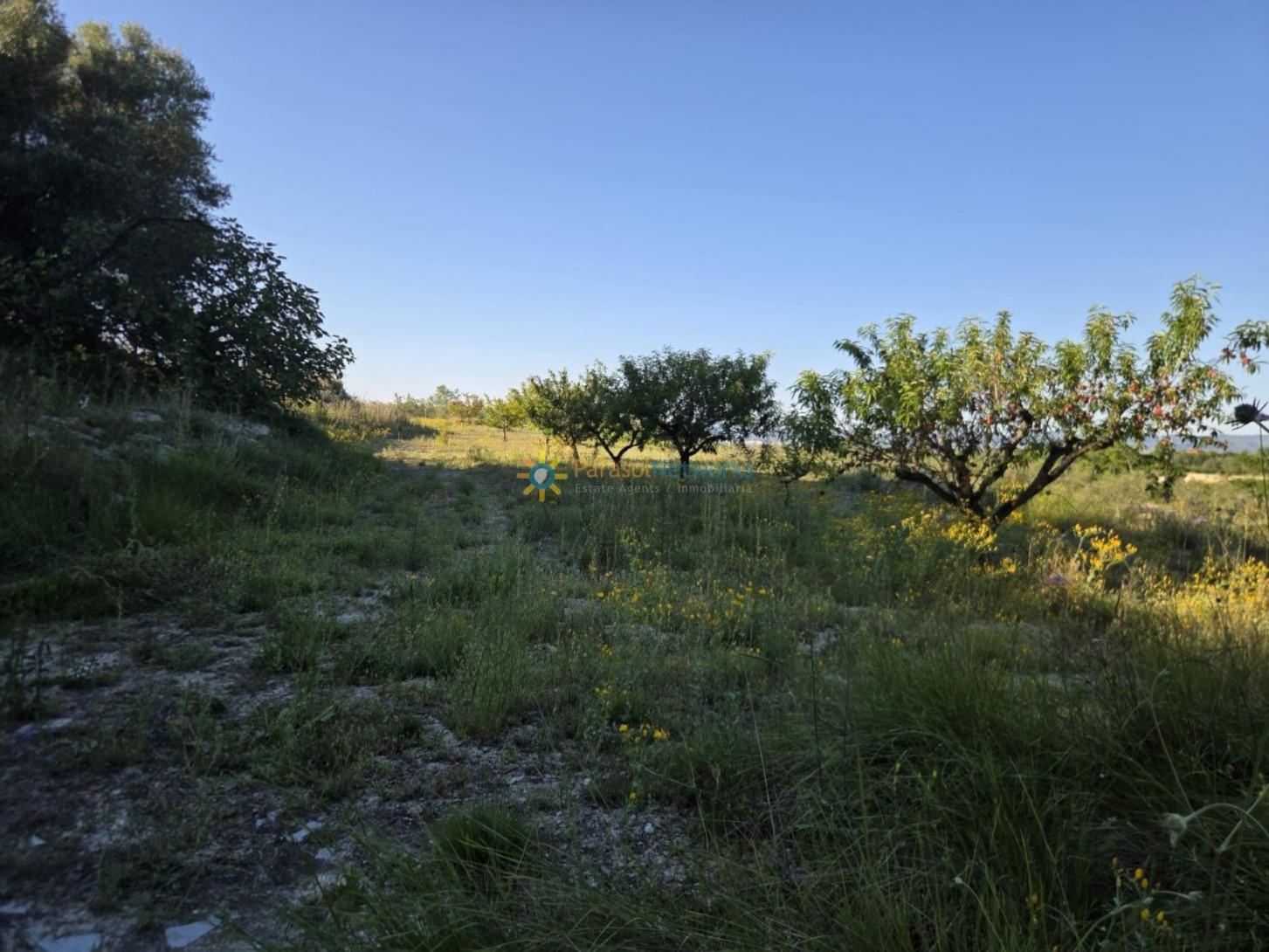 Plot for Sale in Bèlgida