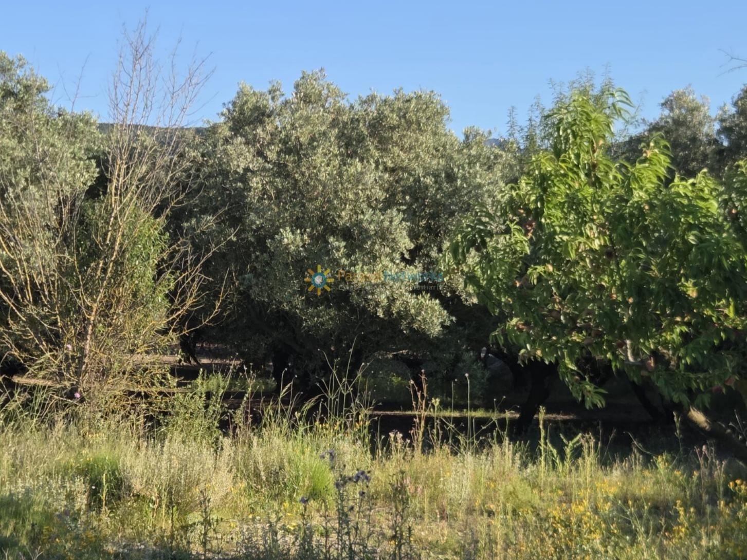 Plot for Sale in Bèlgida