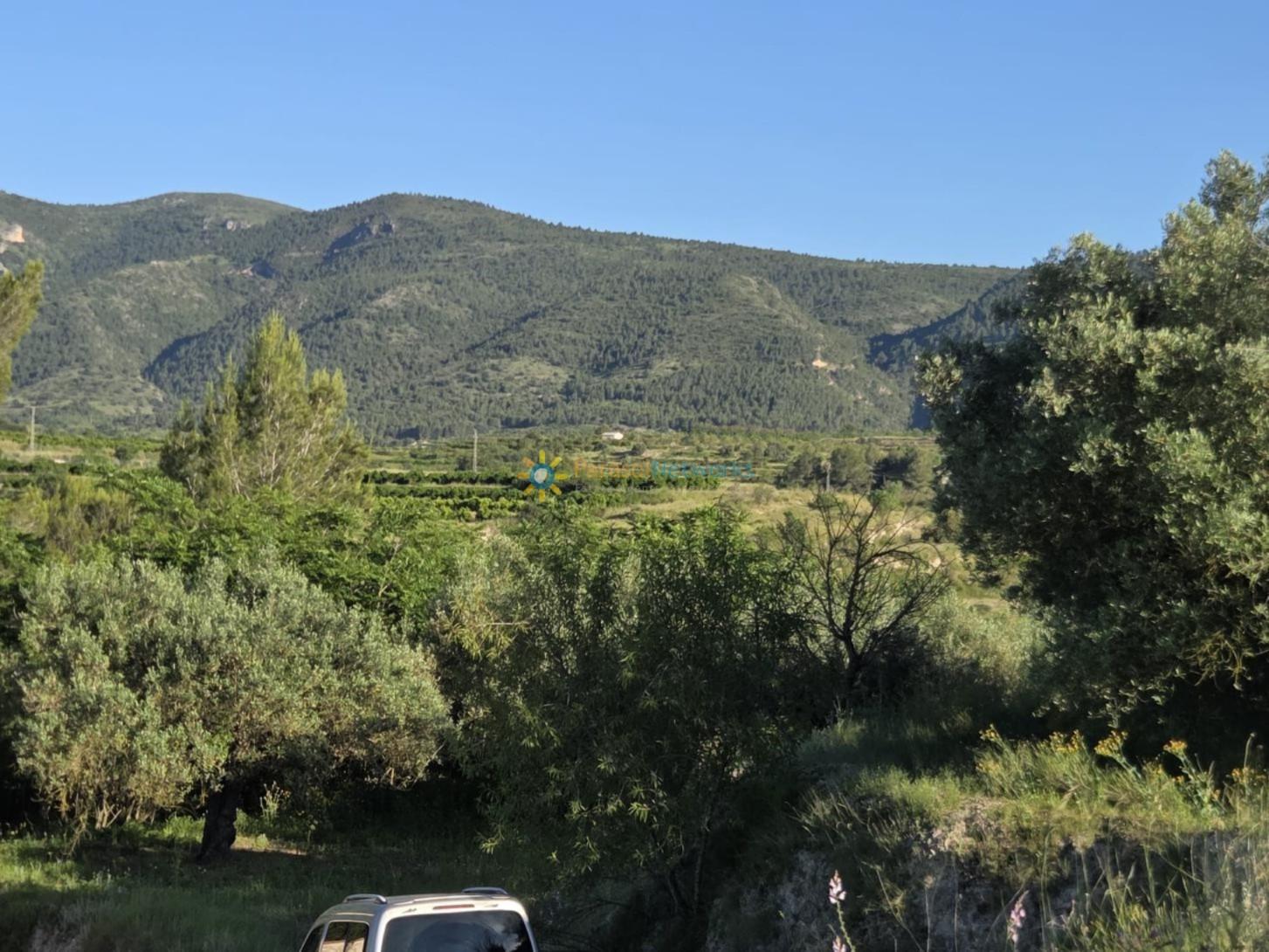 Plot for Sale in Bèlgida
