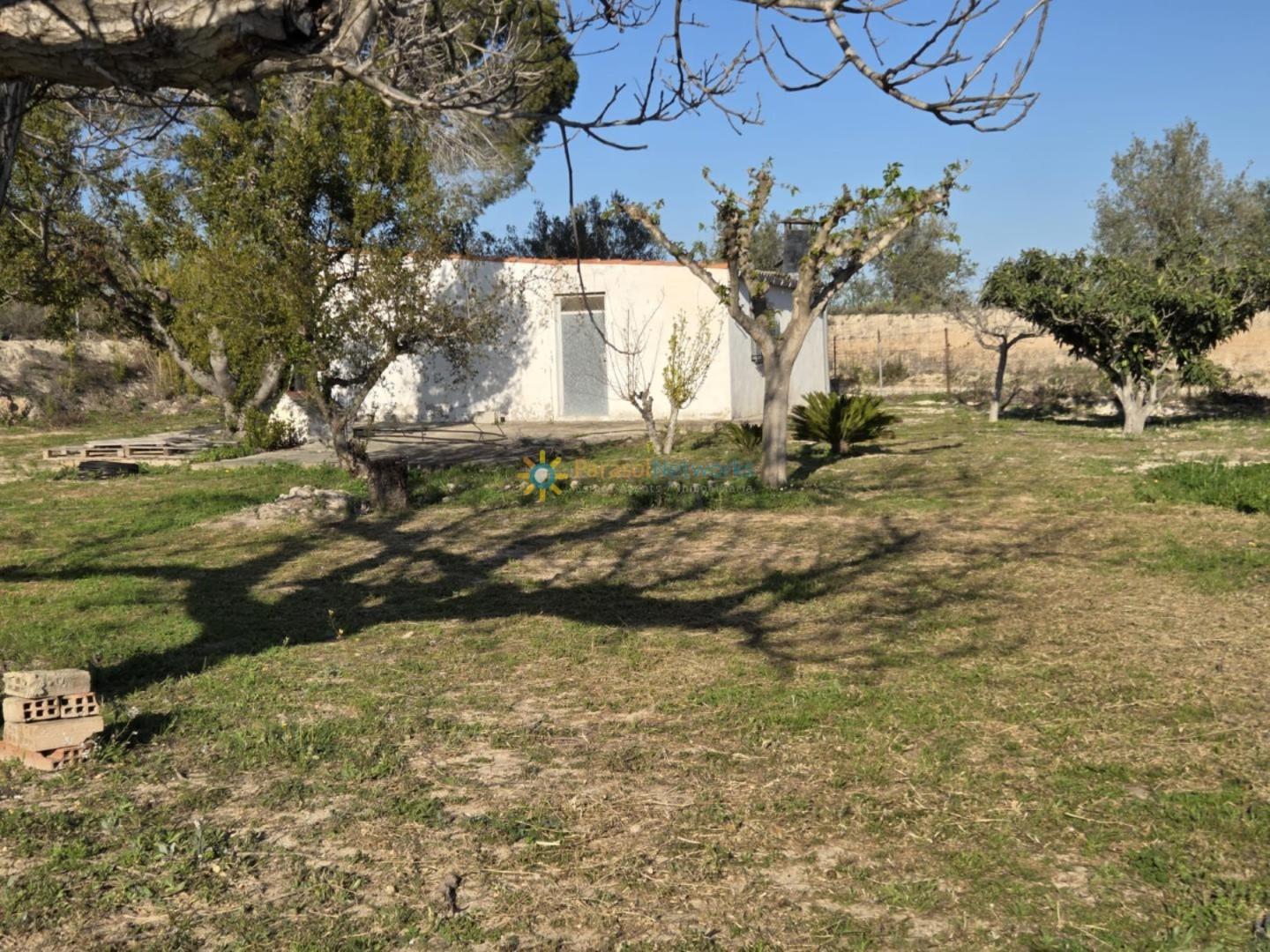 Plot for Sale in Olleria, l'