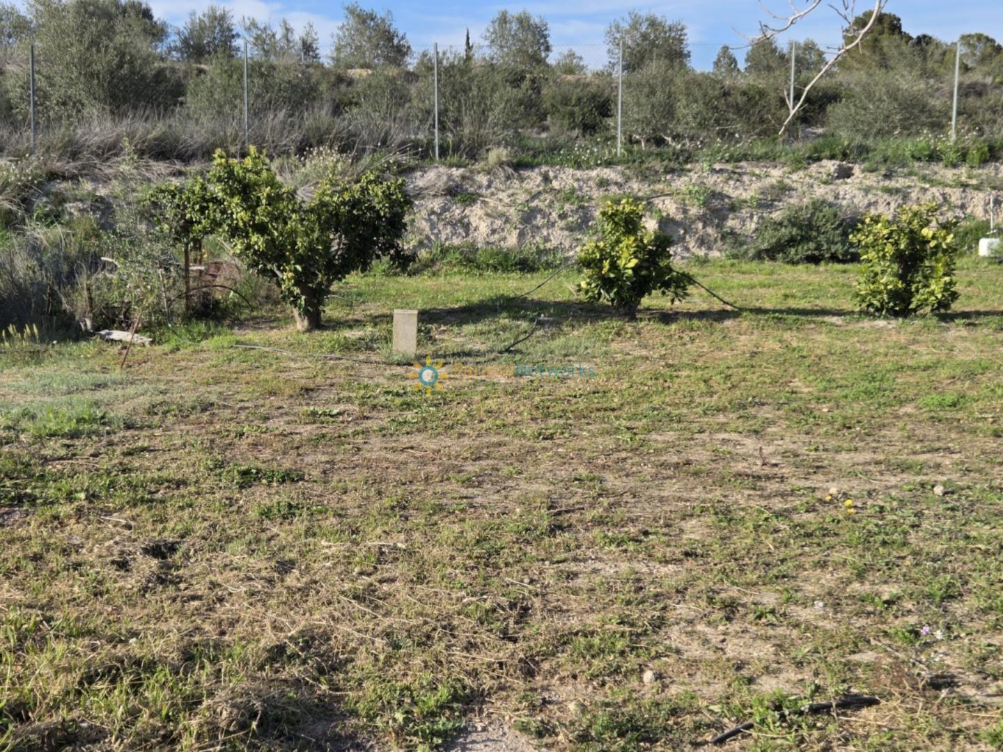 Plot for Sale in Olleria, l'