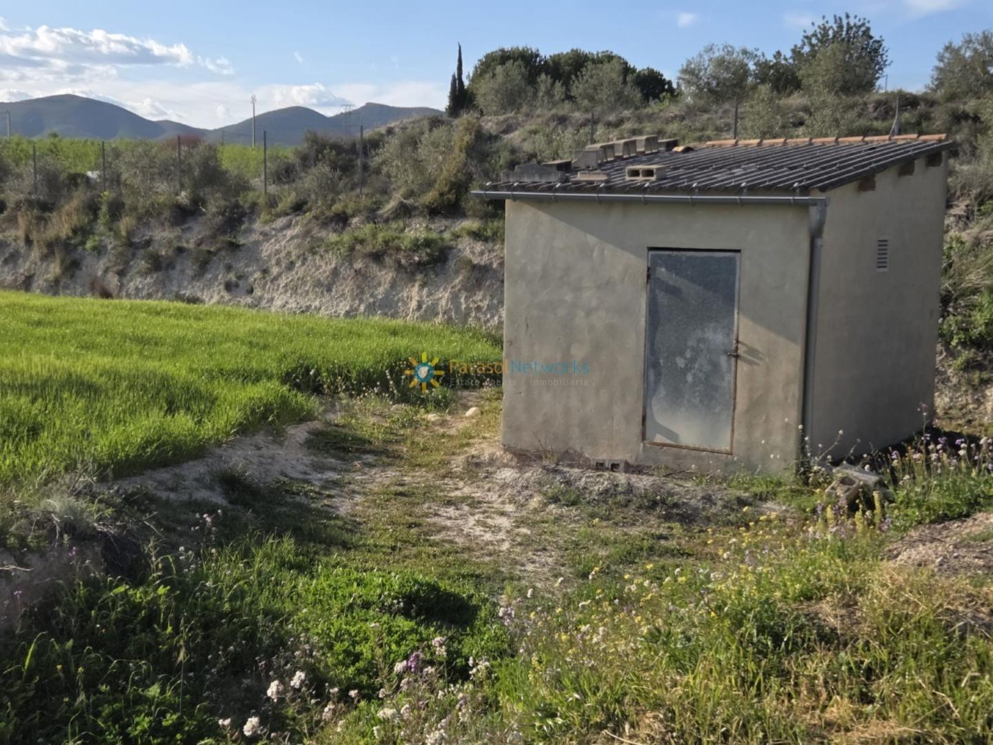 Plot for Sale in Olleria, l'