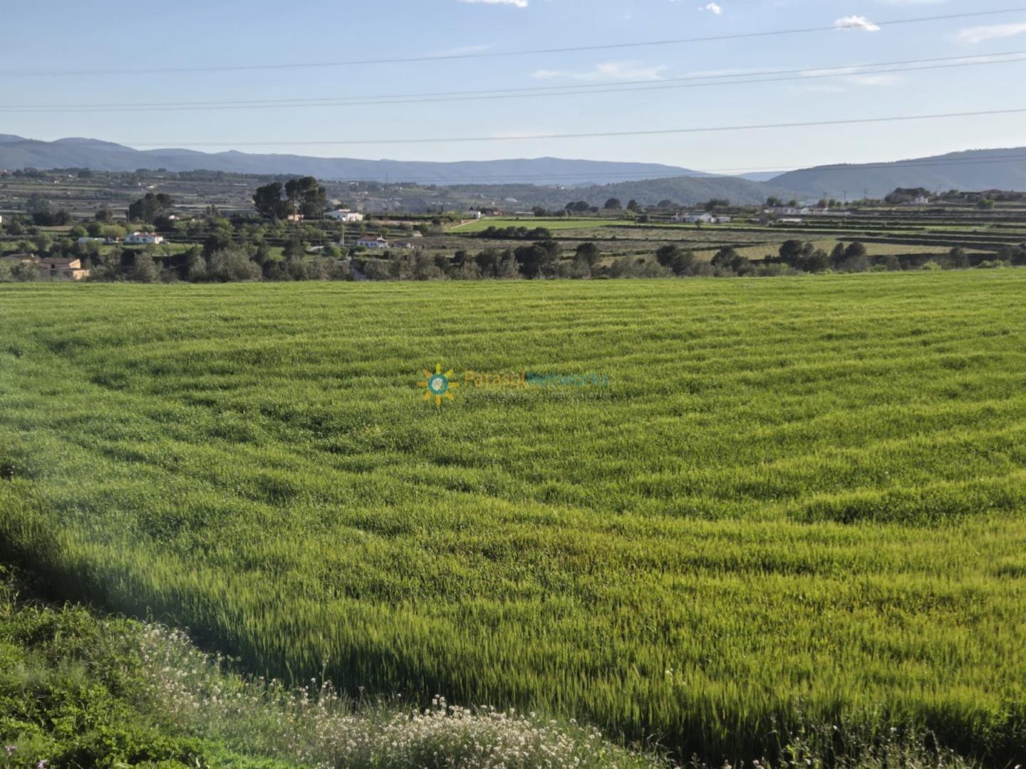 Plot for Sale in Olleria, l'