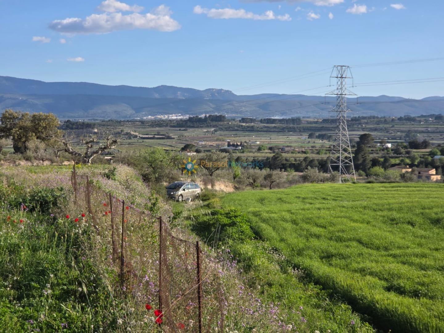 Plot for Sale in Olleria, l'