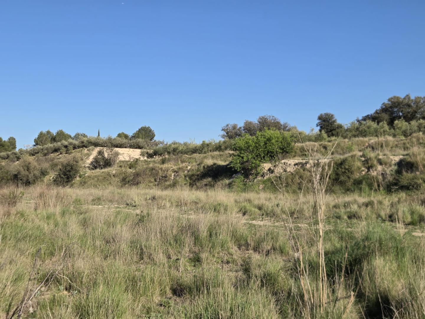 Plot for Sale in Montaverner