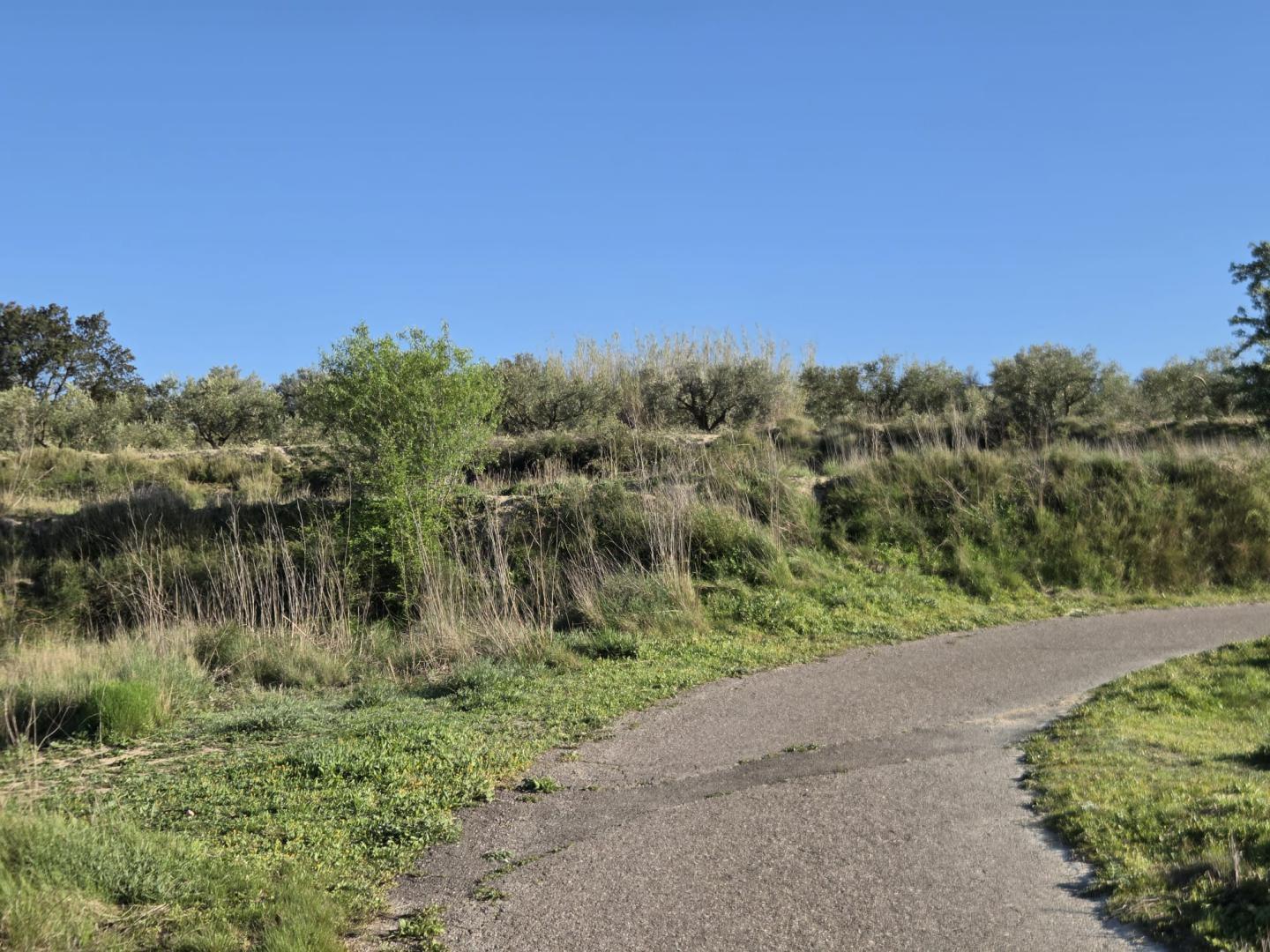 Plot for Sale in Montaverner