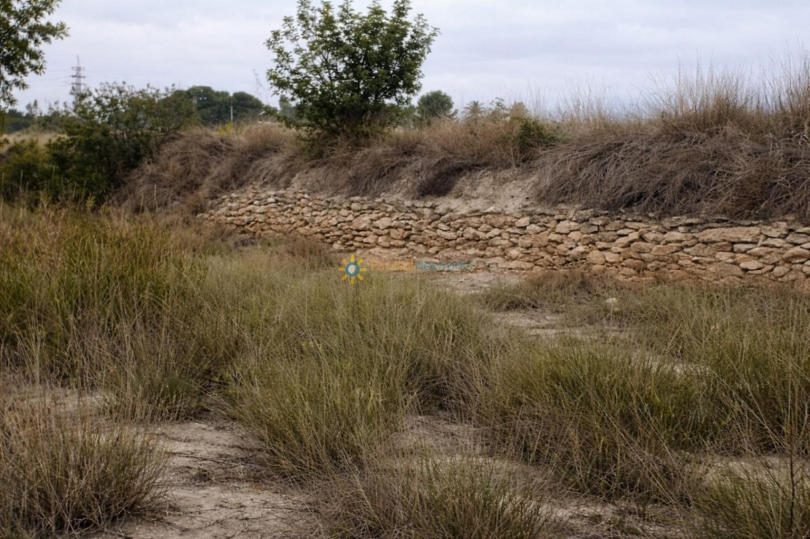 Country Property for Sale in Albaida
