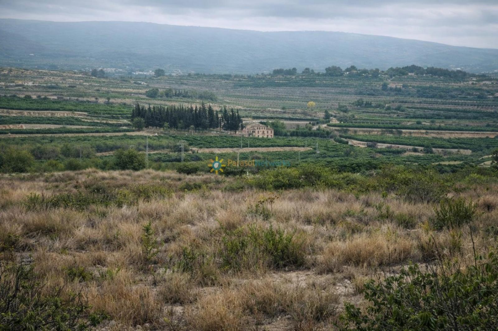 Country Property for Sale in Albaida