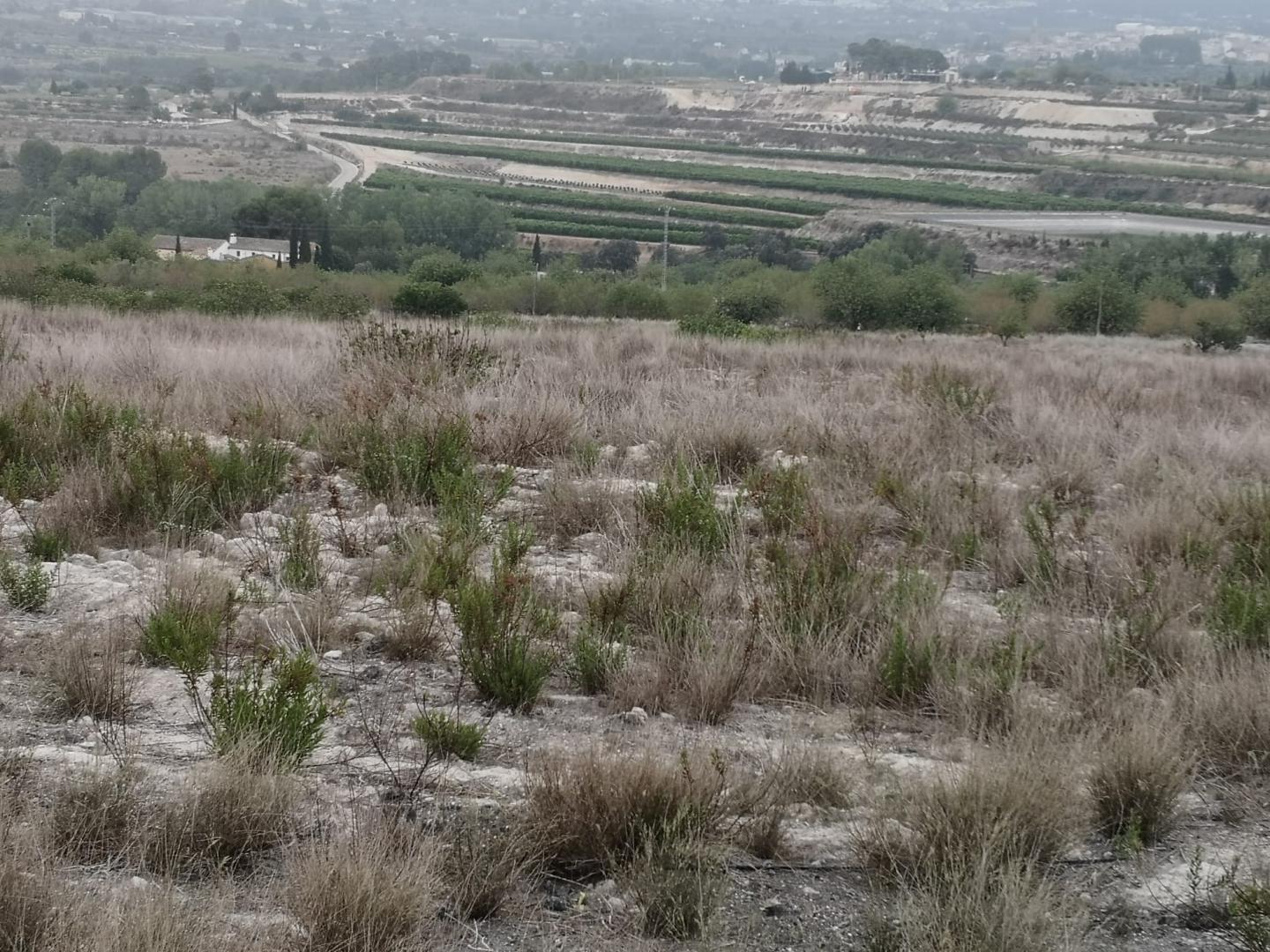 Country Property for Sale in Albaida