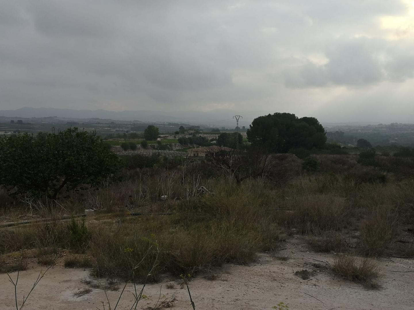 Country Property for Sale in Albaida