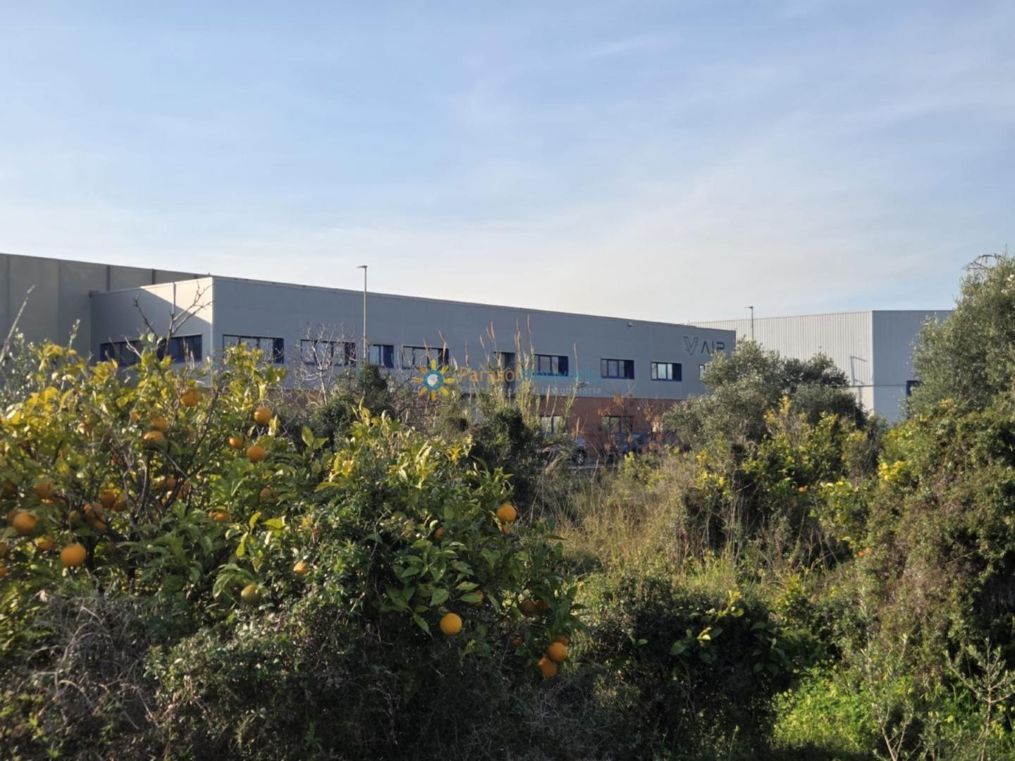 Plot for Sale in Rafelcofer