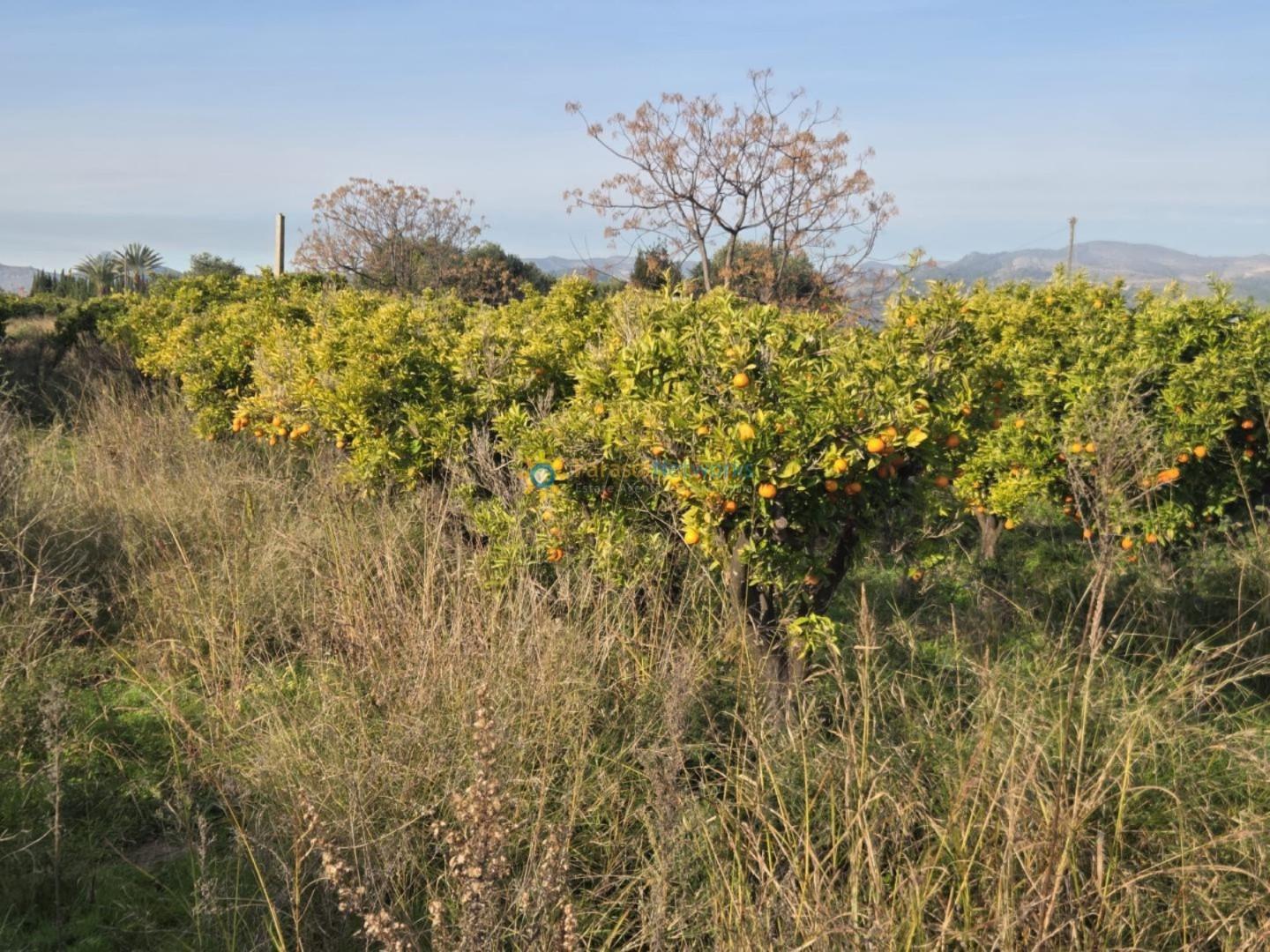 Plot for Sale in Rafelcofer