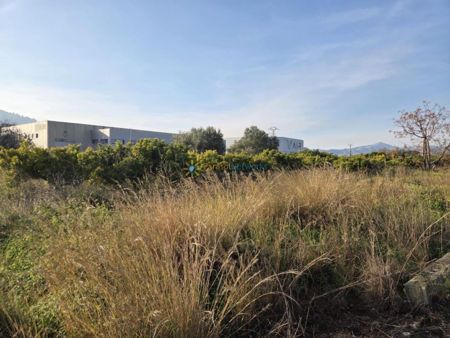 Plot for Sale in Rafelcofer