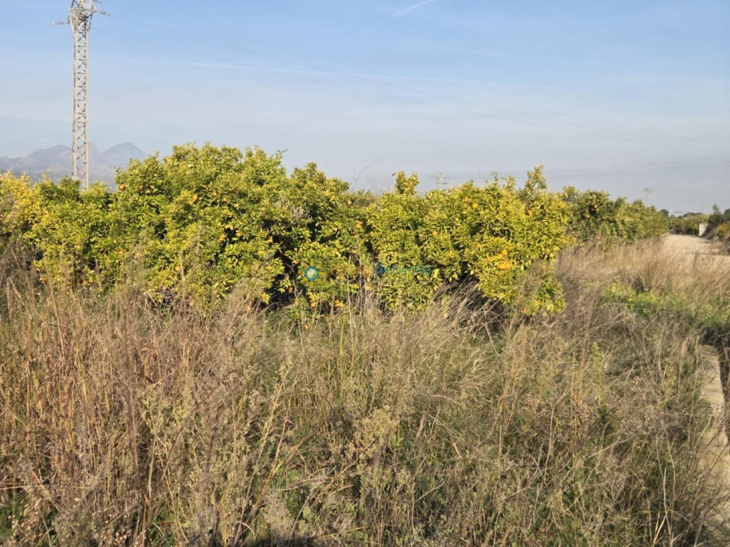 Plot for Sale in Rafelcofer