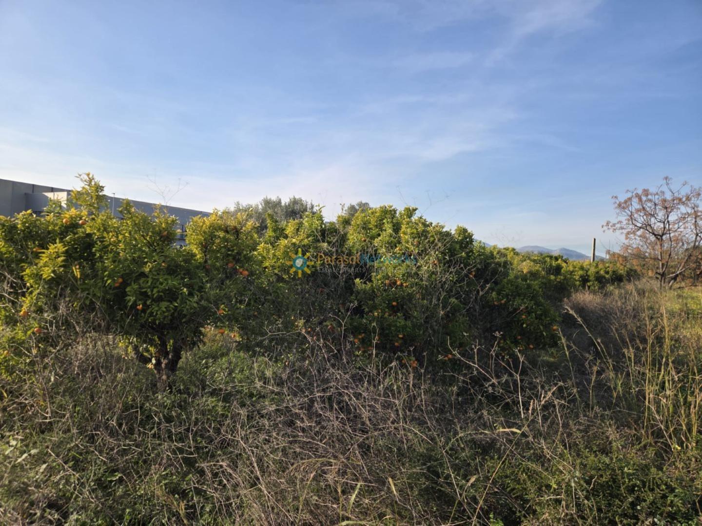 Plot for Sale in Rafelcofer