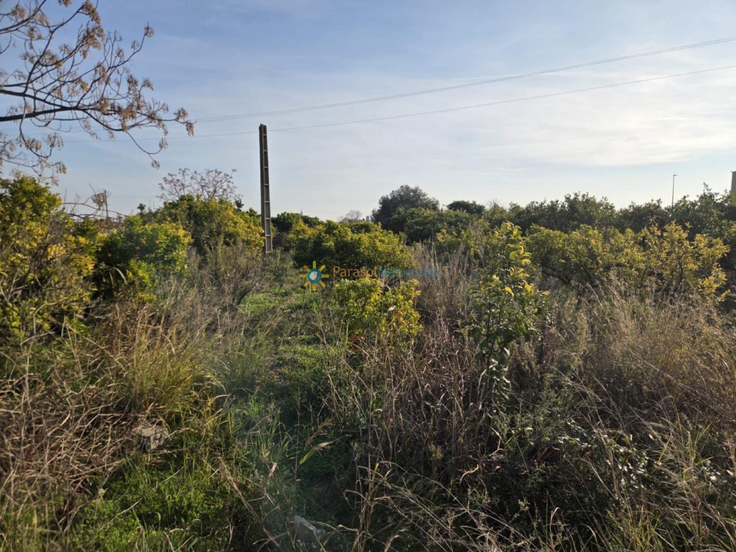 Plot for Sale in Rafelcofer