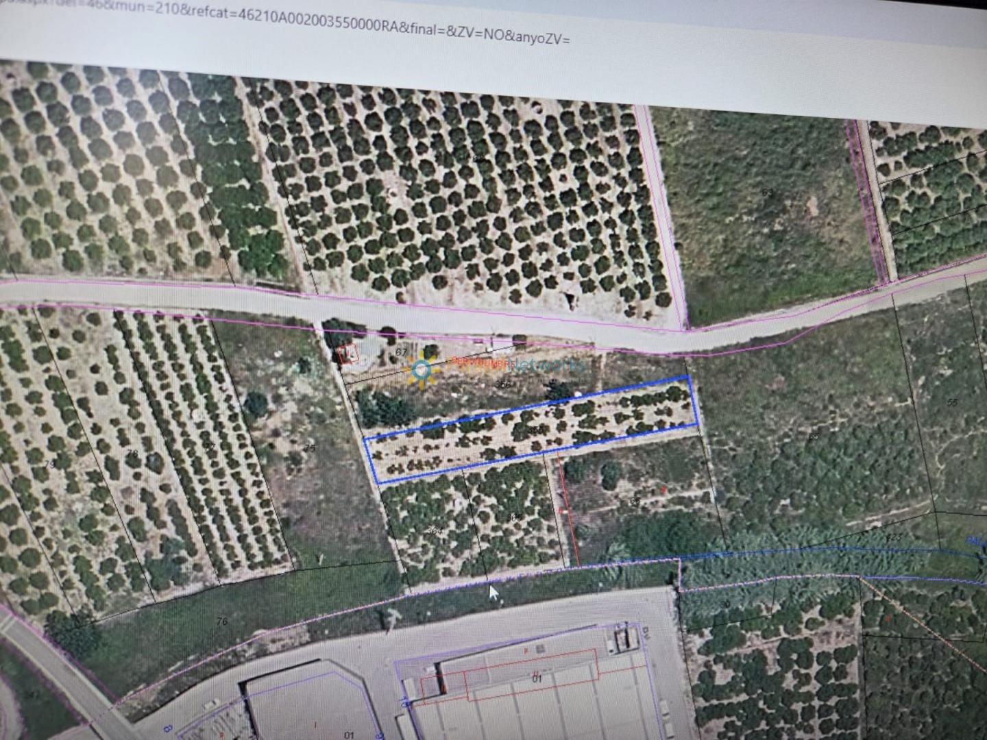 Plot for Sale in Rafelcofer
