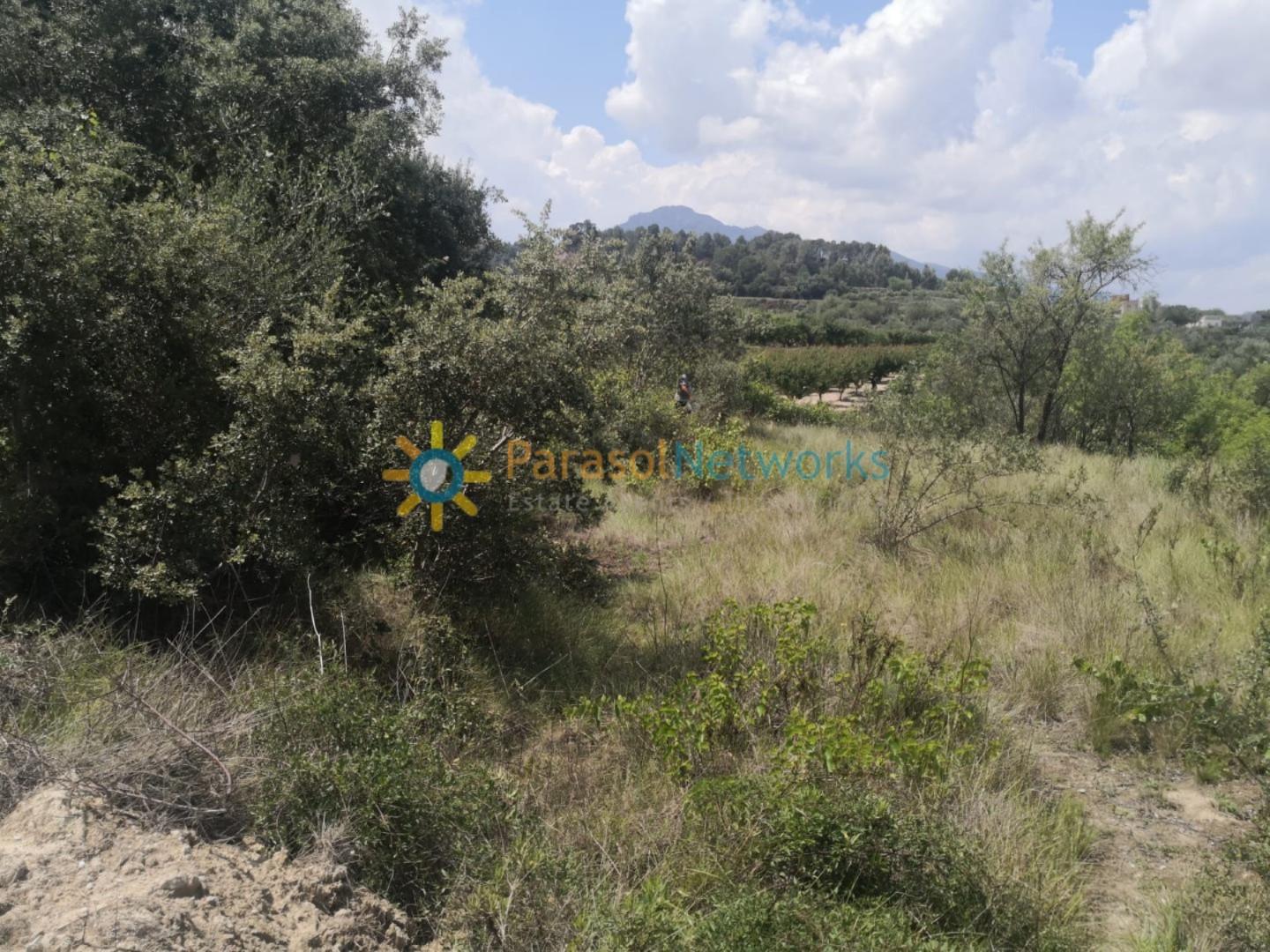 Parcela en Venta en Castelló de Rugat