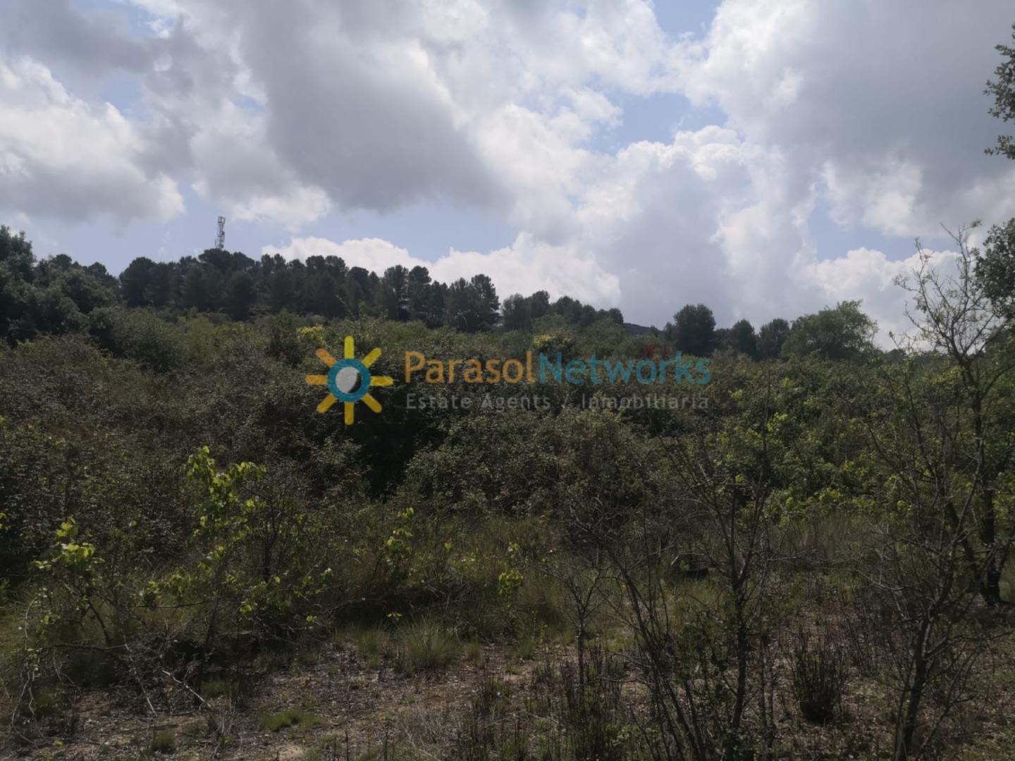 Parcela en Venta en Castelló de Rugat