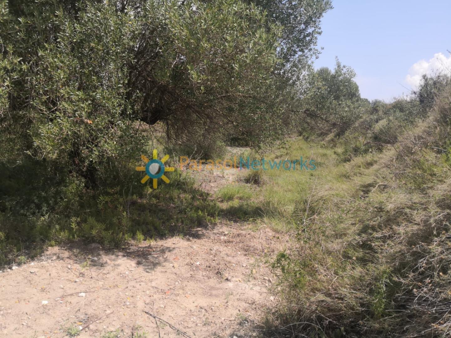 Parcela en Venta en Castelló de Rugat