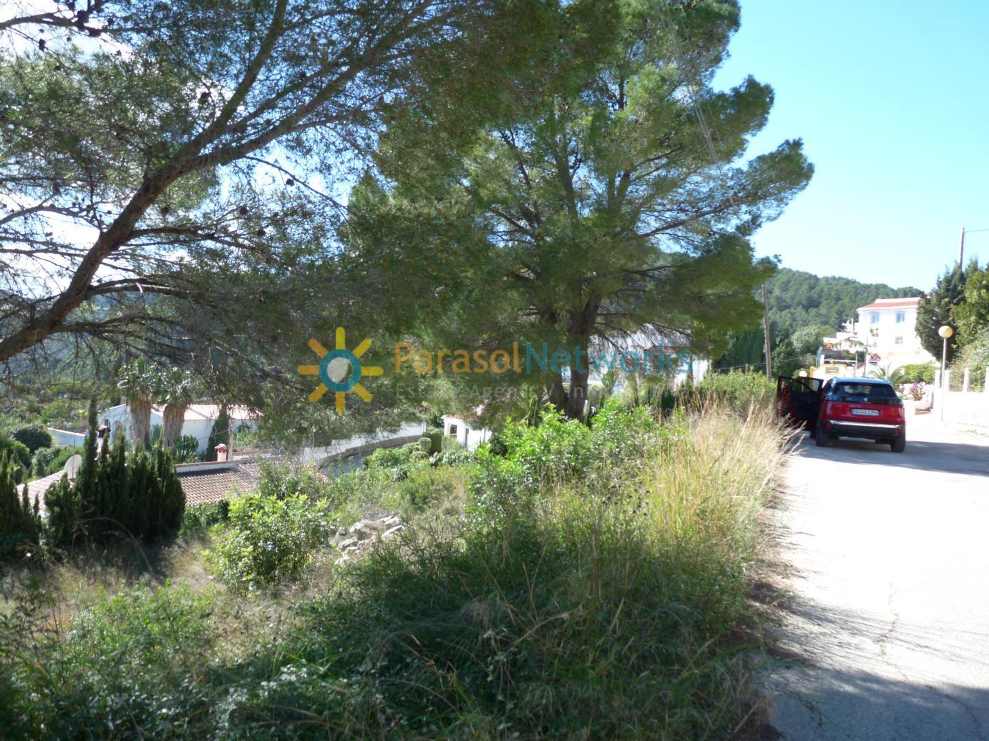Plot for Sale in Oliva