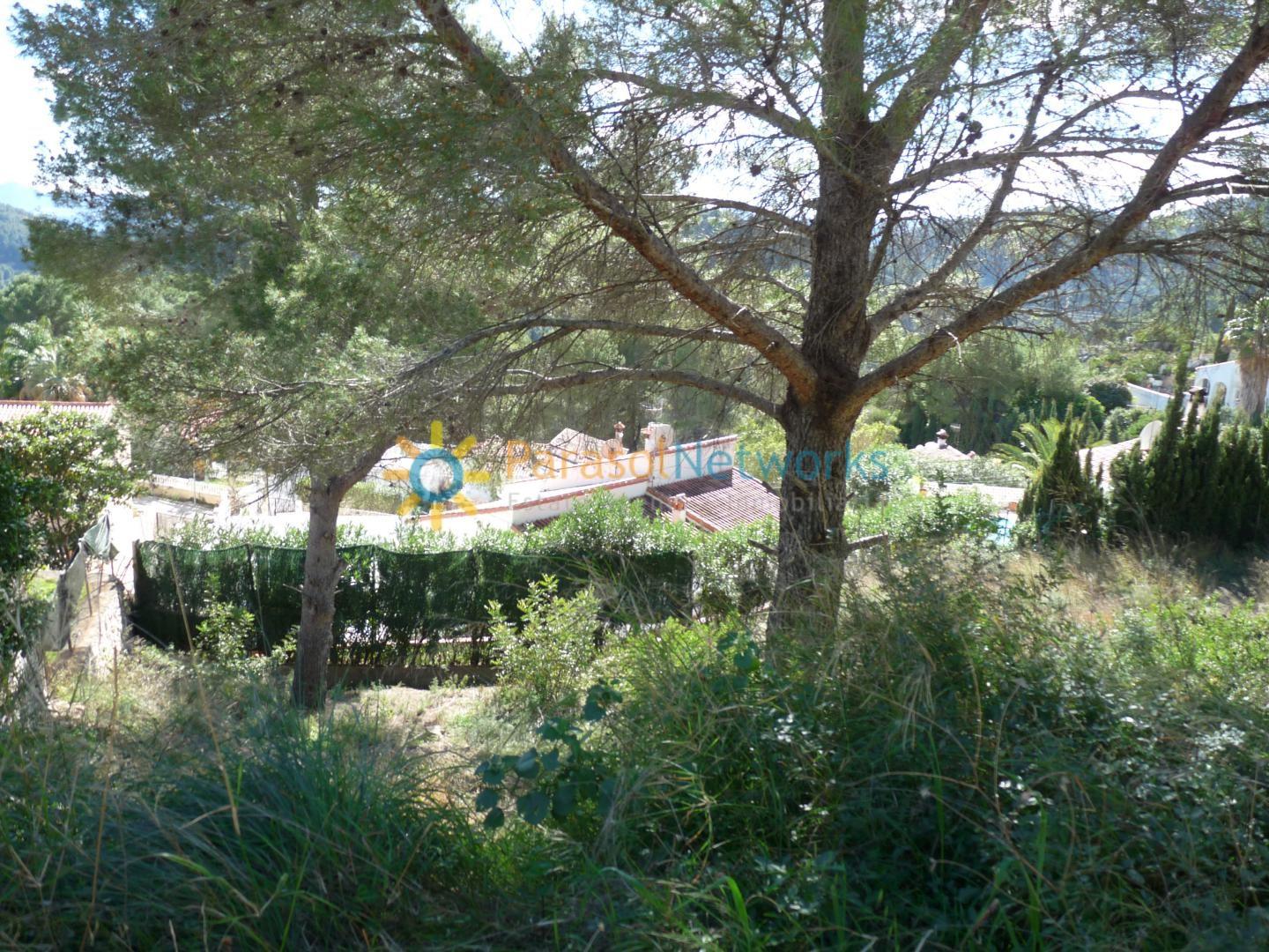 Plot for Sale in Oliva