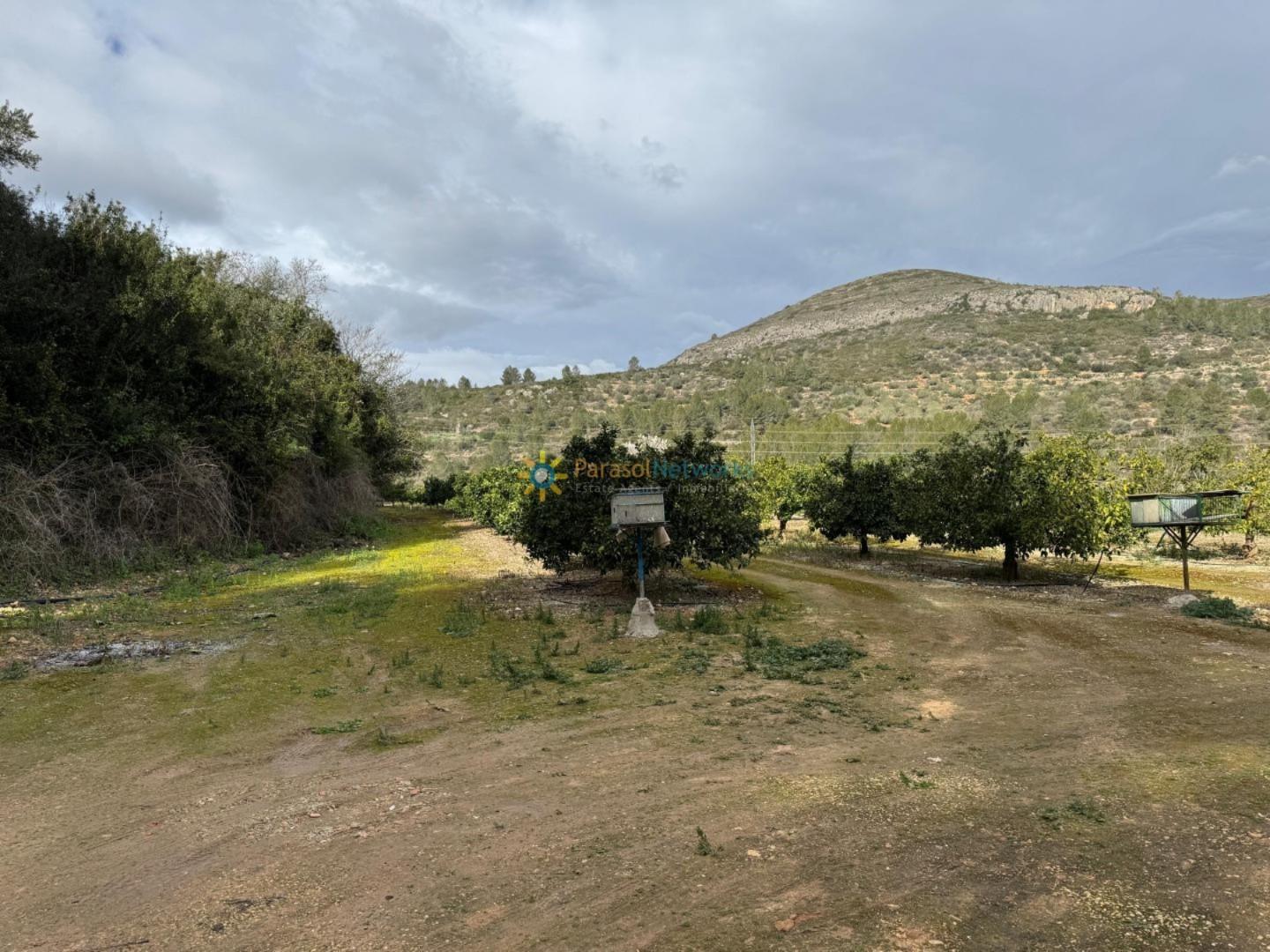 Plot for Sale in Benigánim