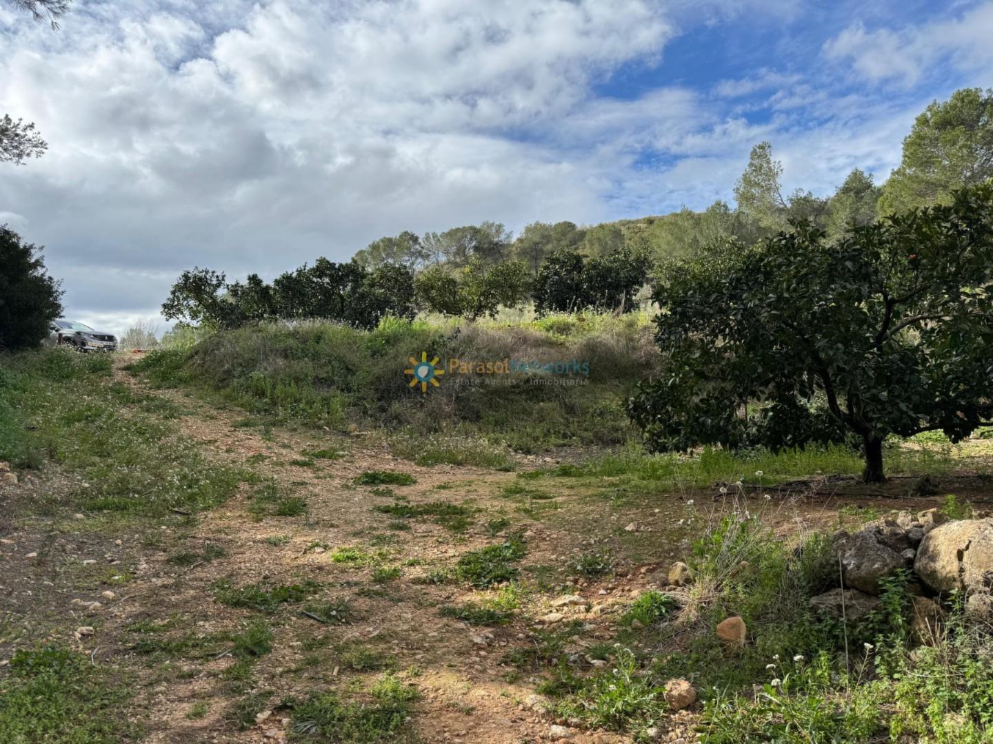 Plot for Sale in Benigánim