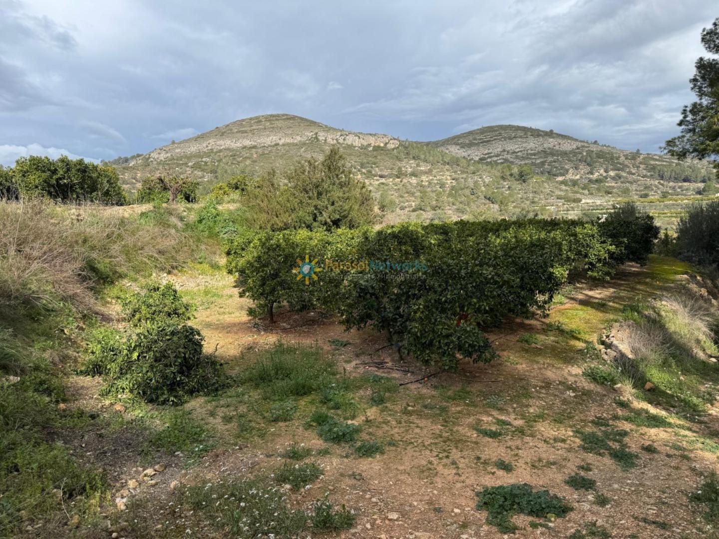 Plot for Sale in Benigánim