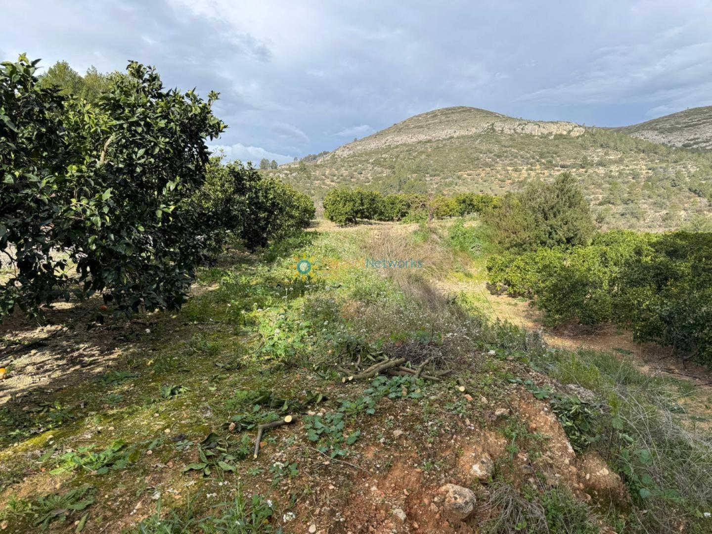 Plot for Sale in Benigánim