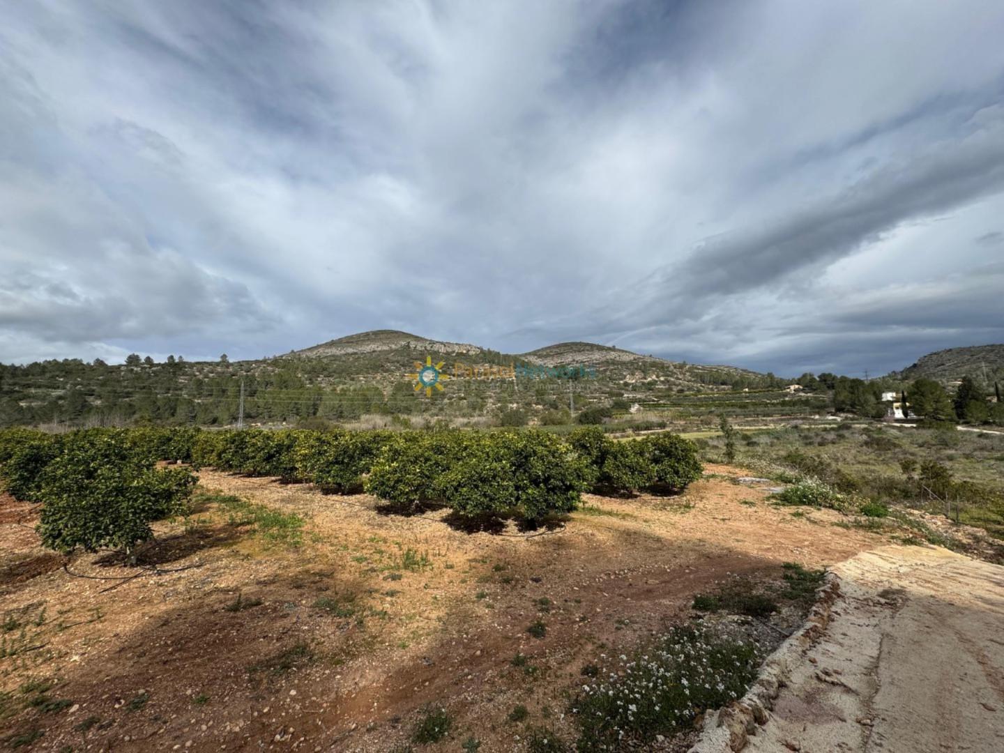 Plot for Sale in Benigánim