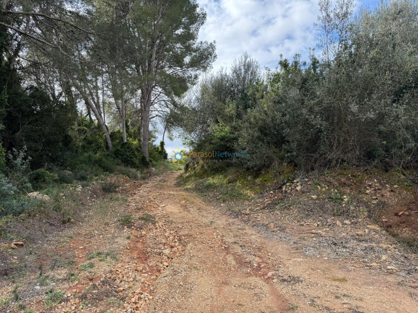Plot for Sale in Benigánim