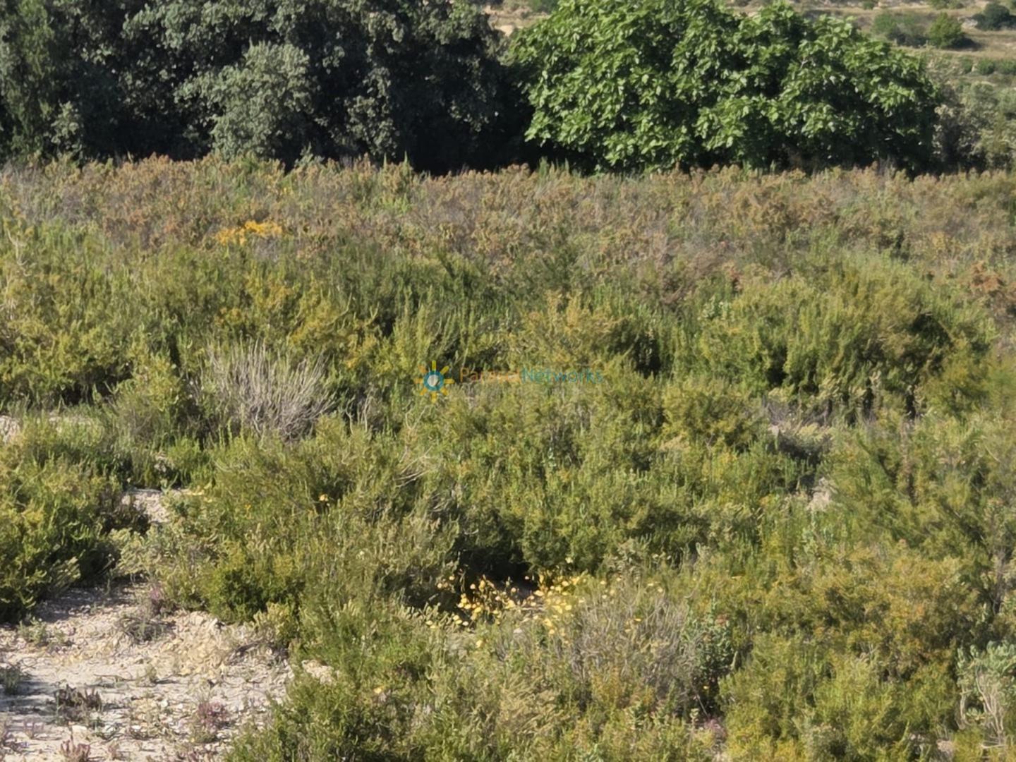 Plot for Sale in El Palomar