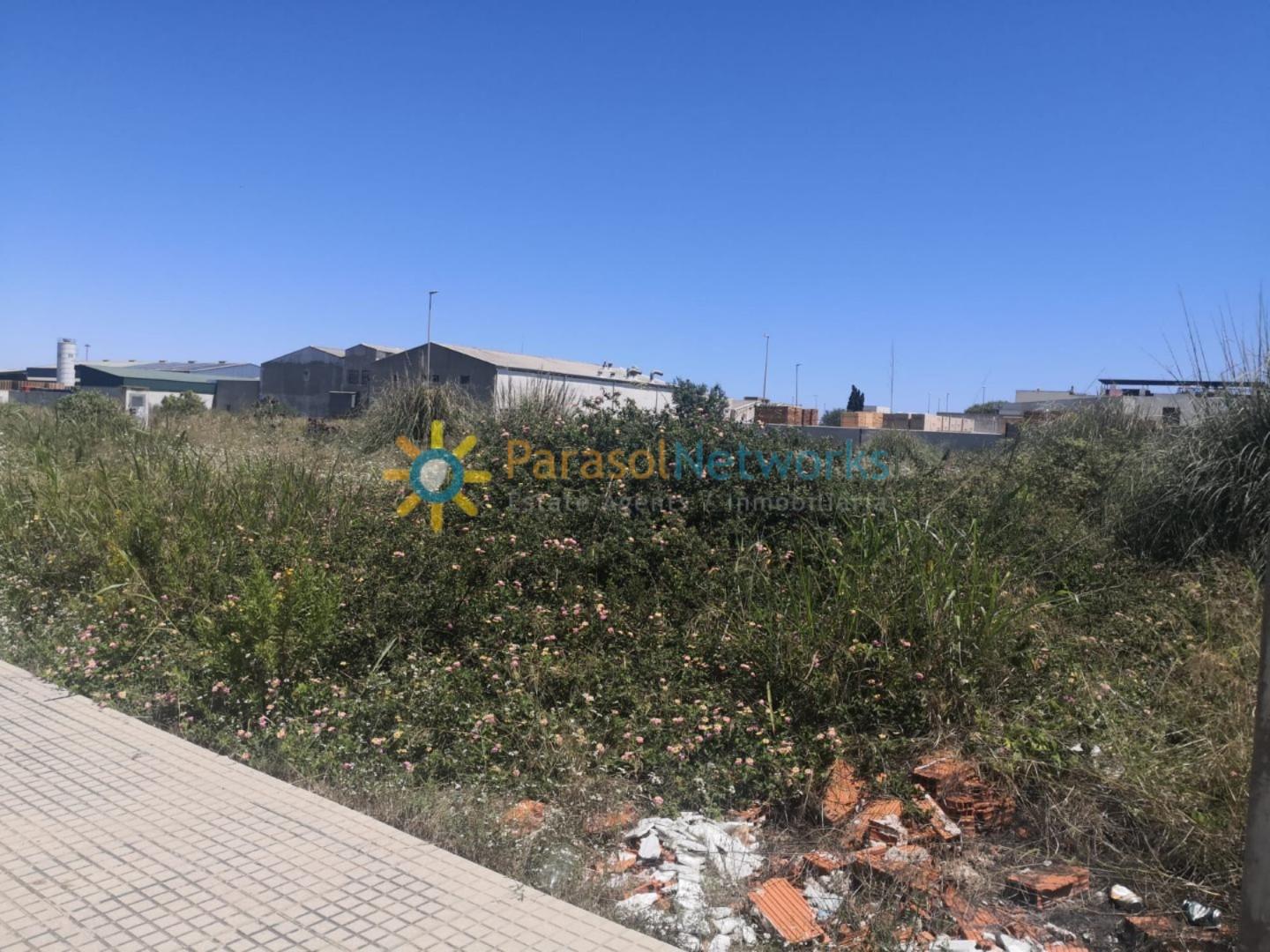 Plot for Sale in Daimús