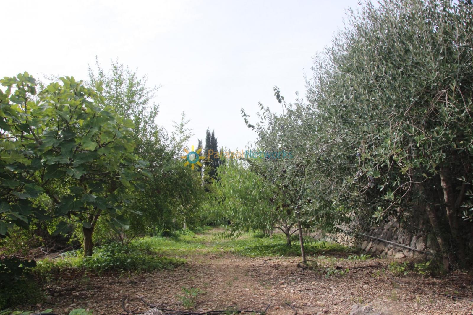 Villa for Sale in Llocnou de Sant Jeroni