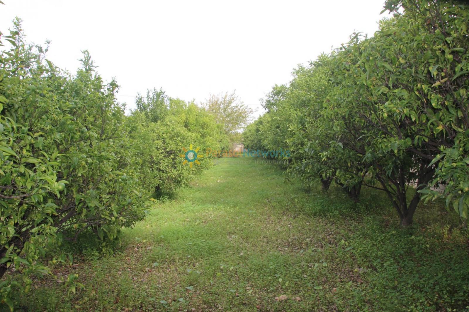 Villa for Sale in Llocnou de Sant Jeroni