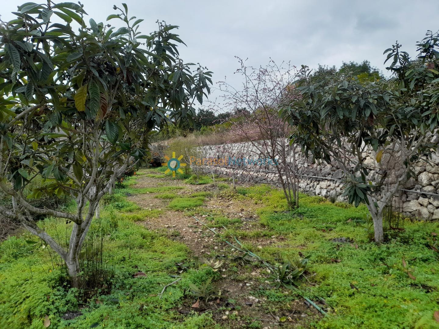 Villa for Sale in Llocnou de Sant Jeroni