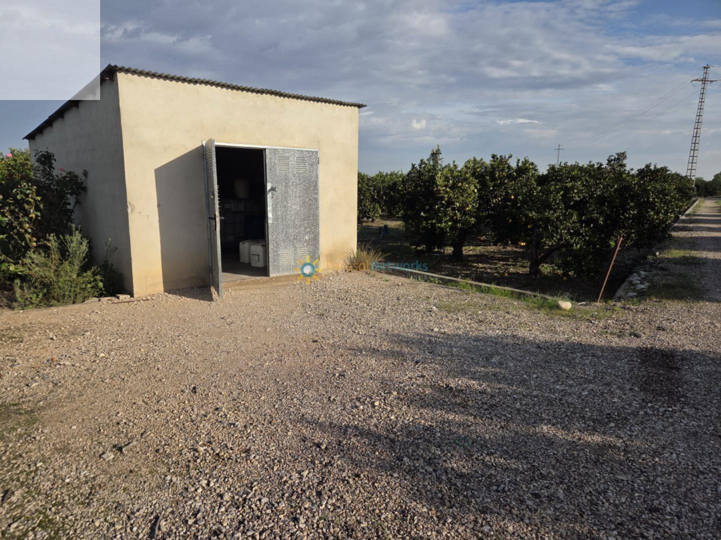 Plot for Sale in Senyera