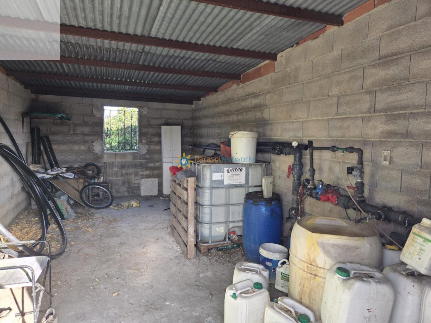 Plot for Sale in Senyera