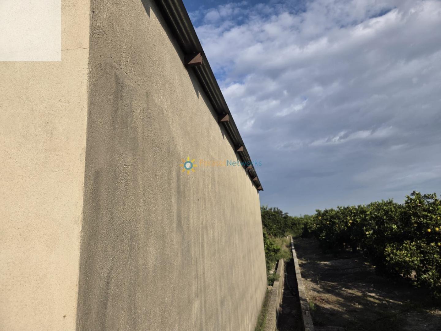 Plot for Sale in Senyera