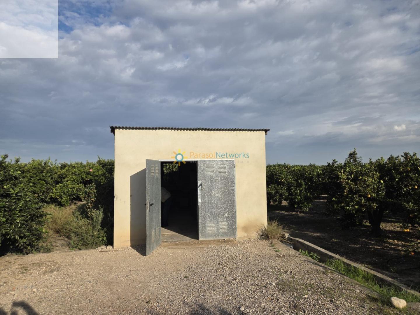Plot for Sale in Senyera