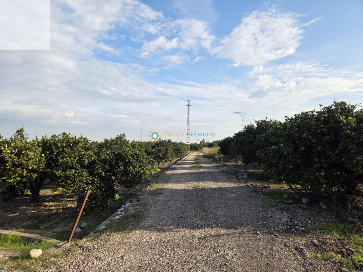 Plot for Sale in Senyera