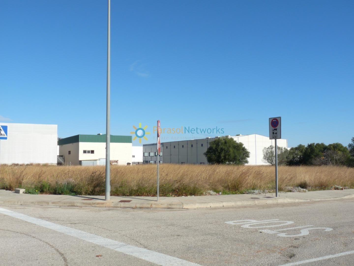 Plot for Sale in Xeresa