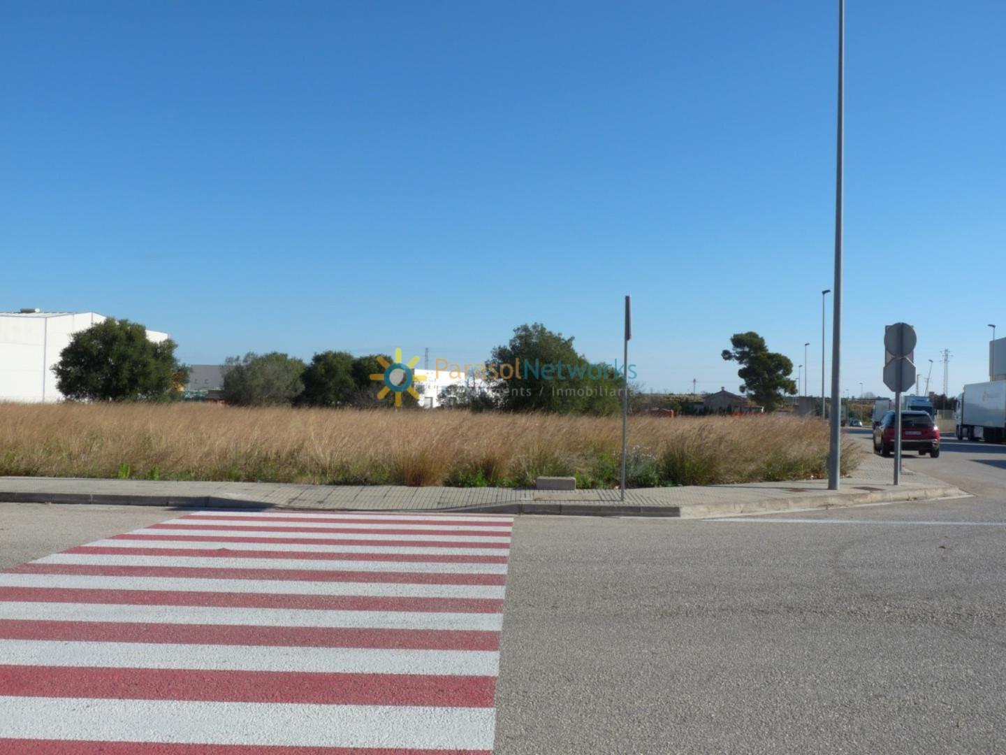 Plot for Sale in Xeresa