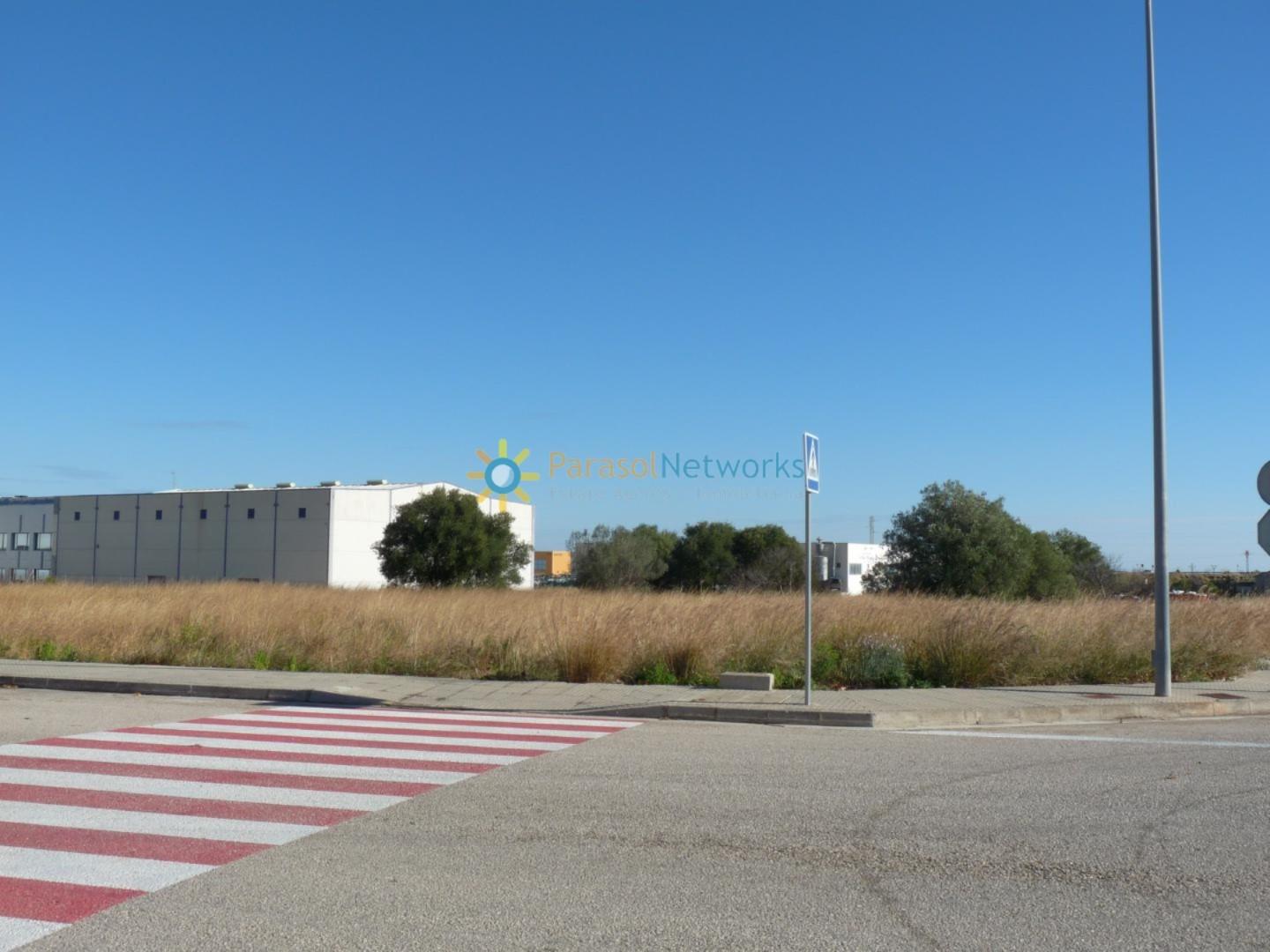 Plot for Sale in Xeresa