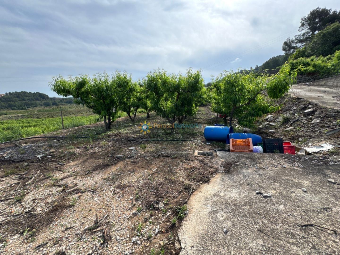 Plot for Sale in La Font d'En Carròs