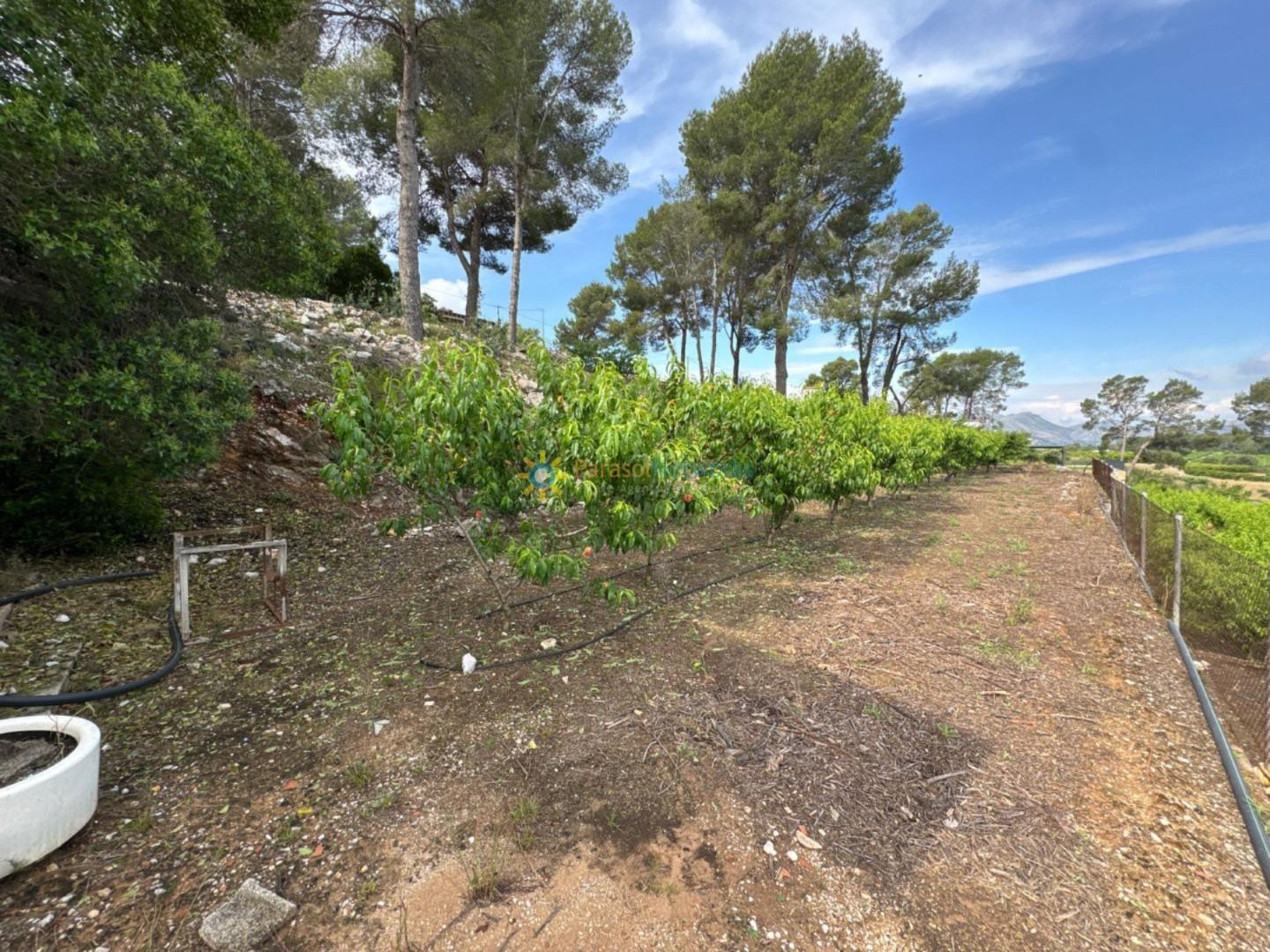 Plot for Sale in La Font d'En Carròs