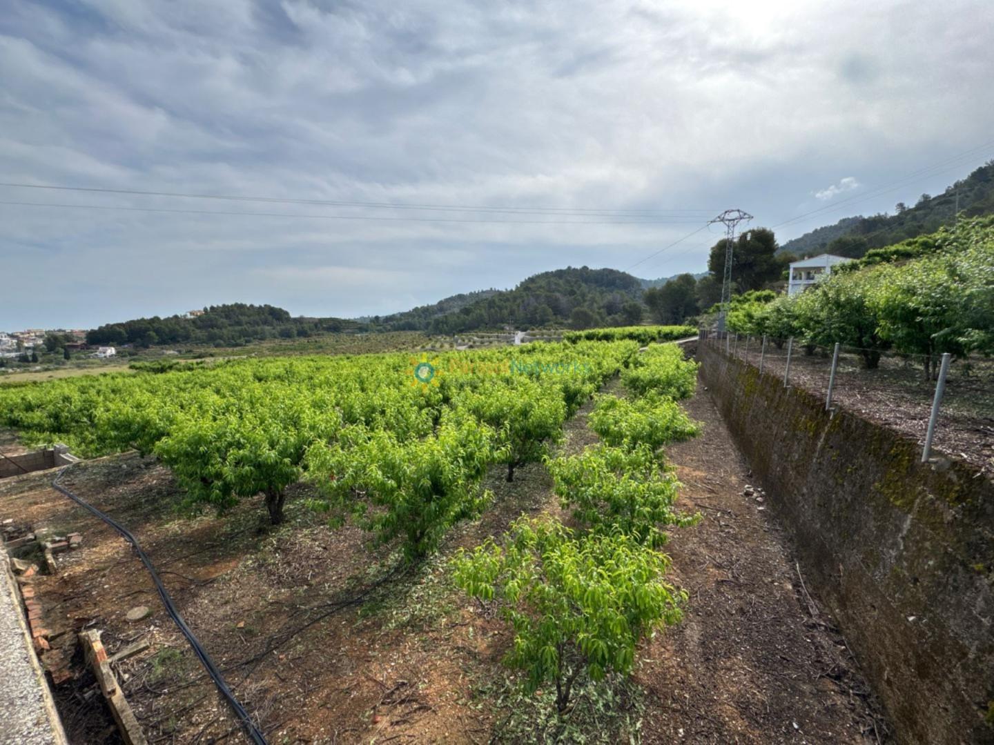 Plot for Sale in La Font d'En Carròs